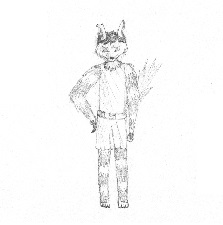 description